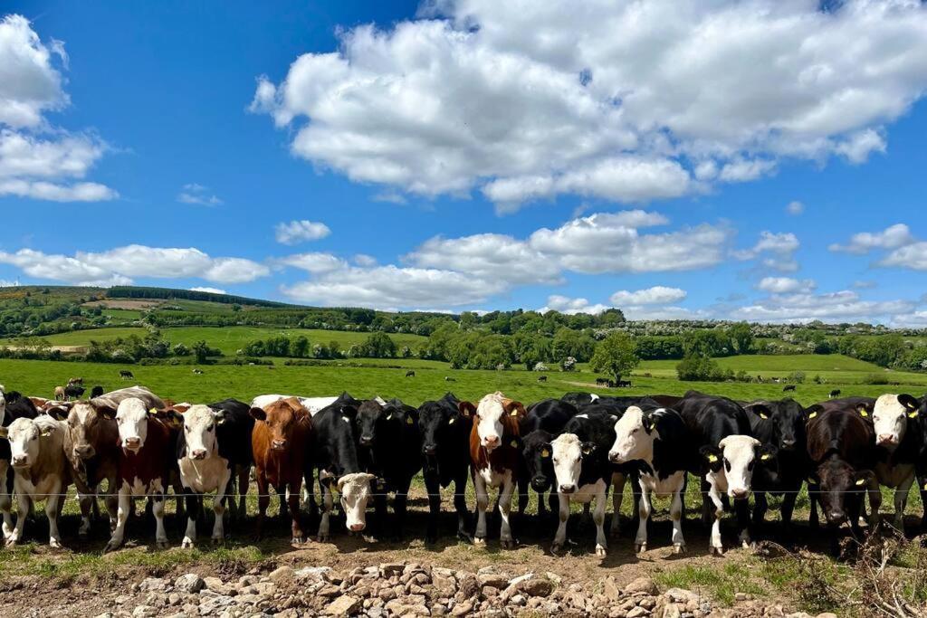 Tom Rocky'S Farmyard Villa Templemore Ngoại thất bức ảnh